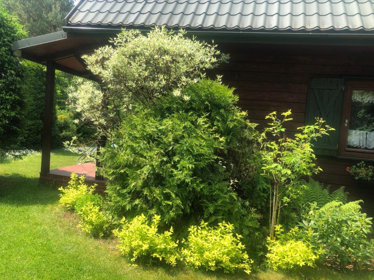 Dom Z Bali Villa Bajkowy Dom Dzwierzuty Exteriör bild