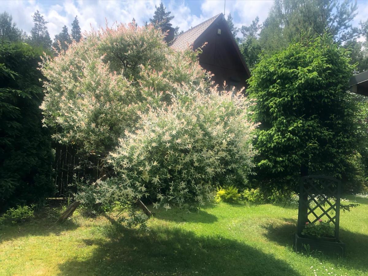 Dom Z Bali Villa Bajkowy Dom Dzwierzuty Exteriör bild